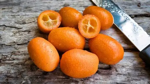 Gourmet citrus, the bittersweet luxury you don&#8217;t know