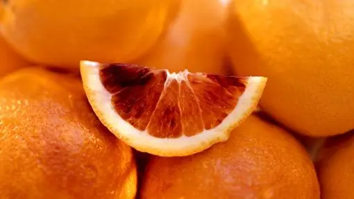 Gourmet citrus, the bittersweet luxury you don&#8217;t know