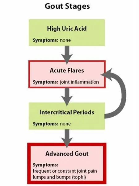 Gout &#8211; Complementary approaches