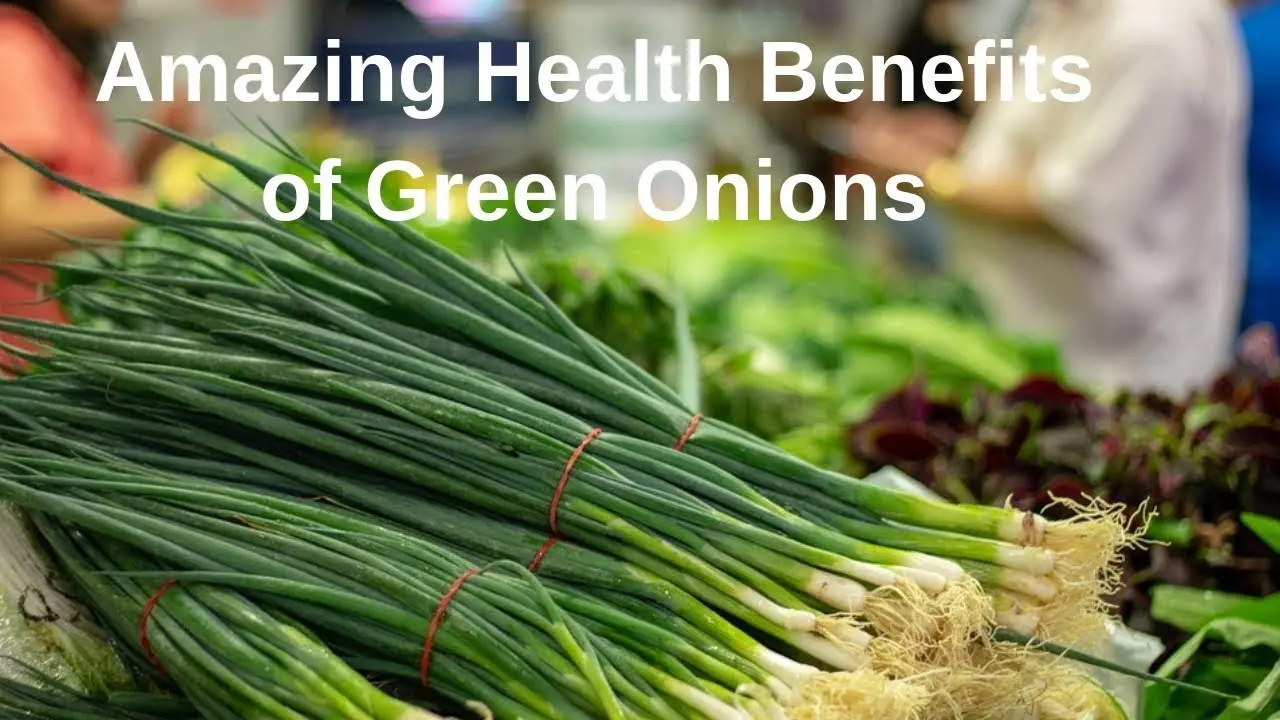 Green onions: composition, medicinal properties. Video