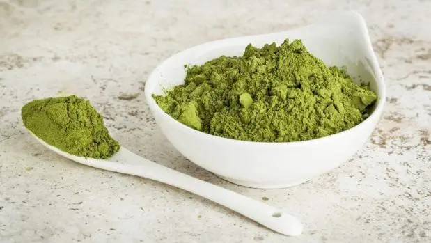 &#8216;Green power&#8217;: All about moringa, the &#8220;tree of life&#8221;