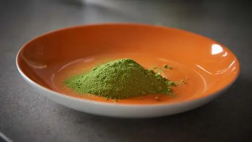 &#8216;Green power&#8217;: All about moringa, the &#8220;tree of life&#8221;