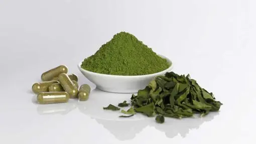 &#8216;Green power&#8217;: All about moringa, the &#8220;tree of life&#8221;