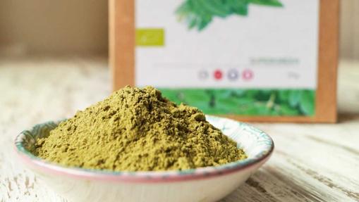 &#8216;Green power&#8217;: All about moringa, the &#8220;tree of life&#8221;