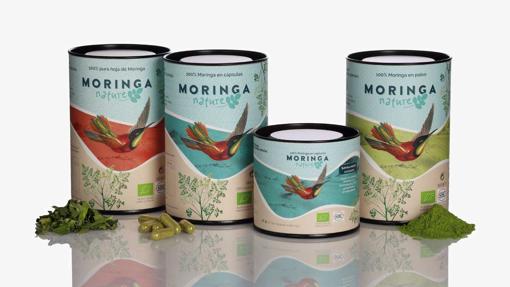 &#8216;Green power&#8217;: All about moringa, the &#8220;tree of life&#8221;