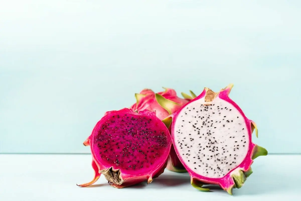 Growing pitahaya at home from seeds, benefits and harms, calorie content