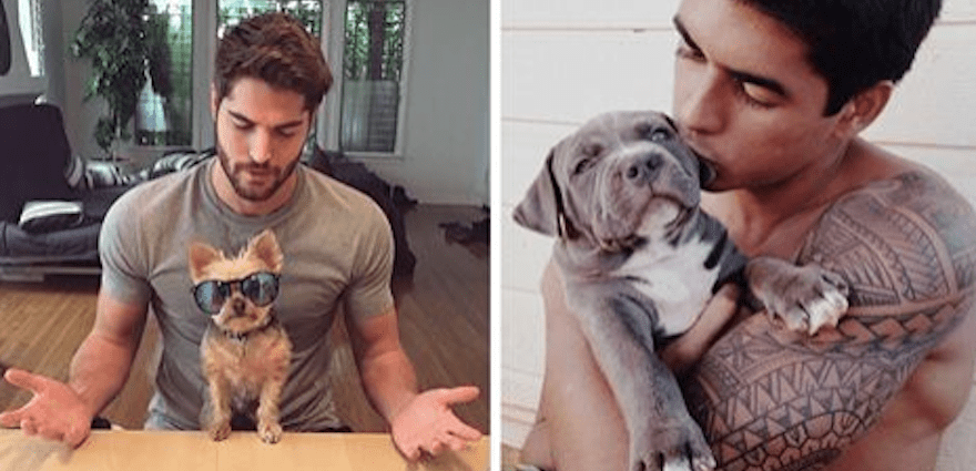 Handsome men! 20 pets who love to look in the mirror