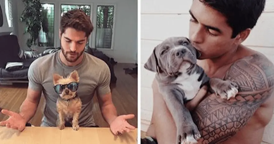 Handsome men! 20 pets who love to look in the mirror