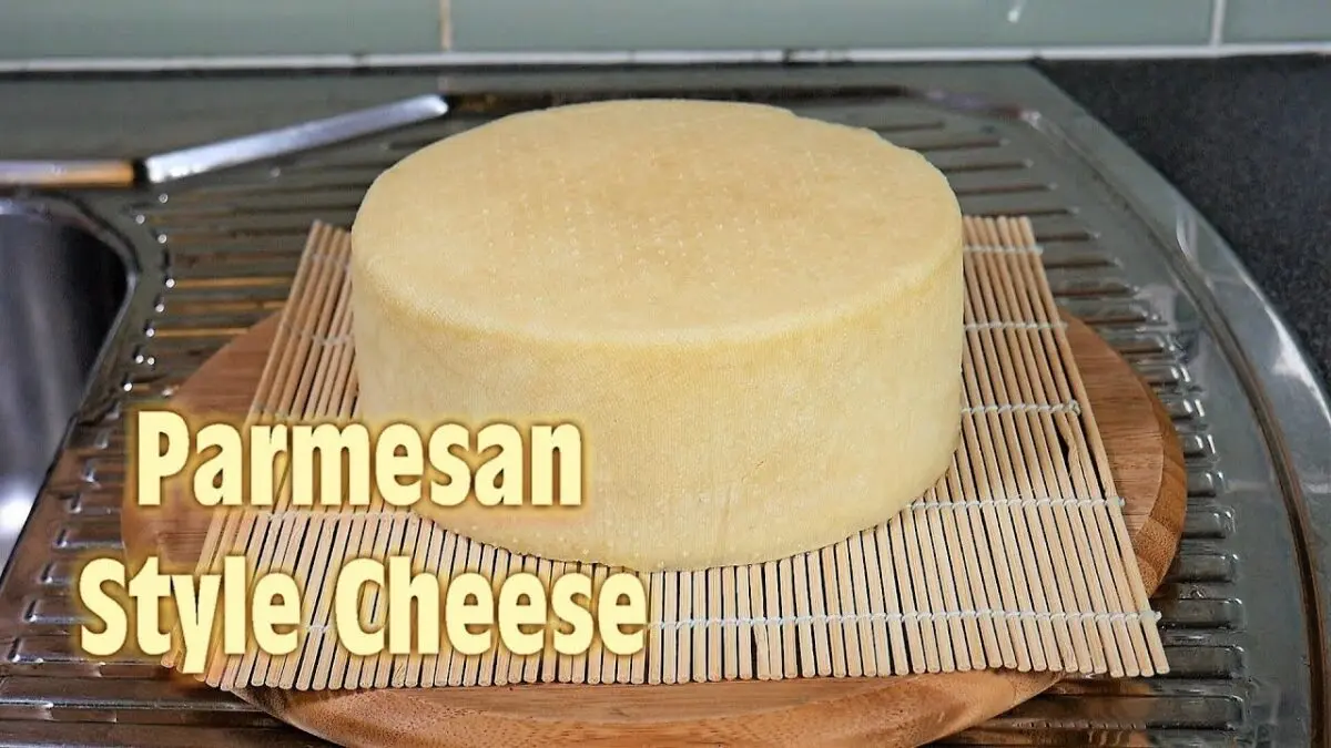 Hard cheese recipe. Video