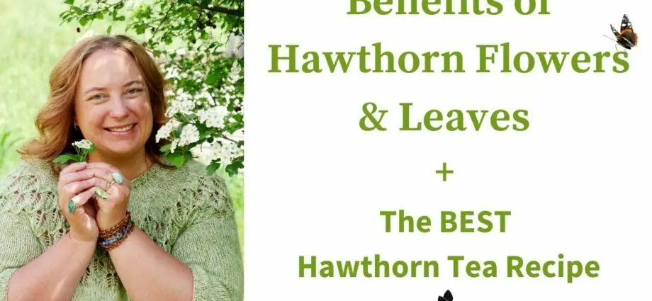 Hawthorn: composition, useful properties. Video