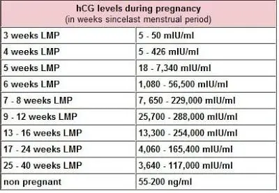 HCG blood test in early pregnancy