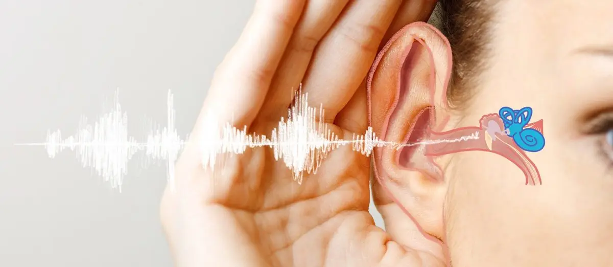 Hearing loss: all you need to know about this hearing loss