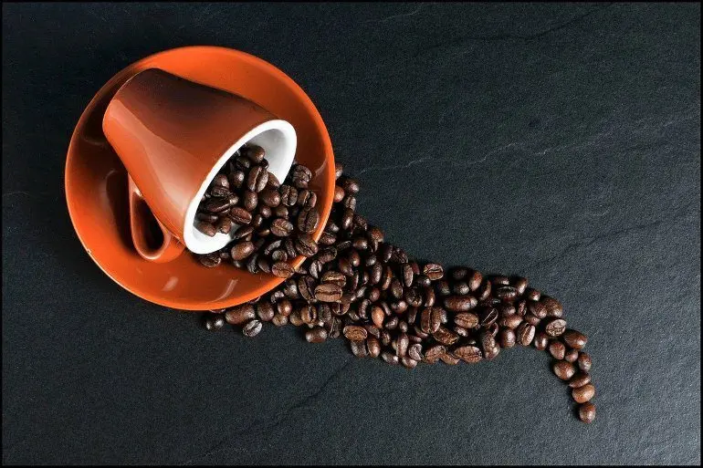 Heavy caffeine consumption leads to dementia and reduces brain size