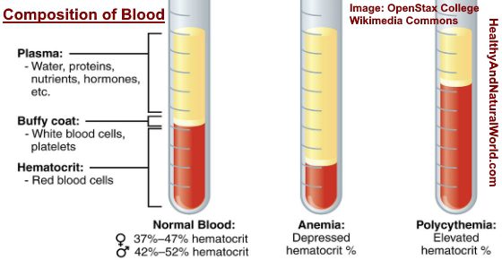 Hematocrit: interpret a low or high rate