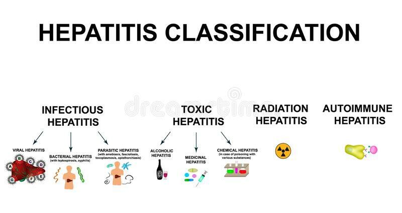 Hepatite (A, B, C, poizina)