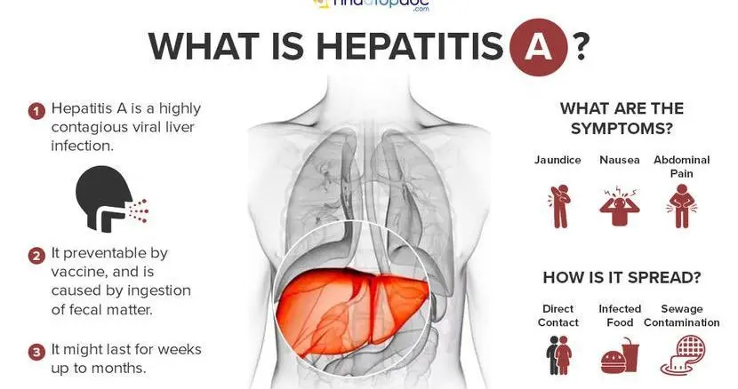 Symptoms of hepatitis A