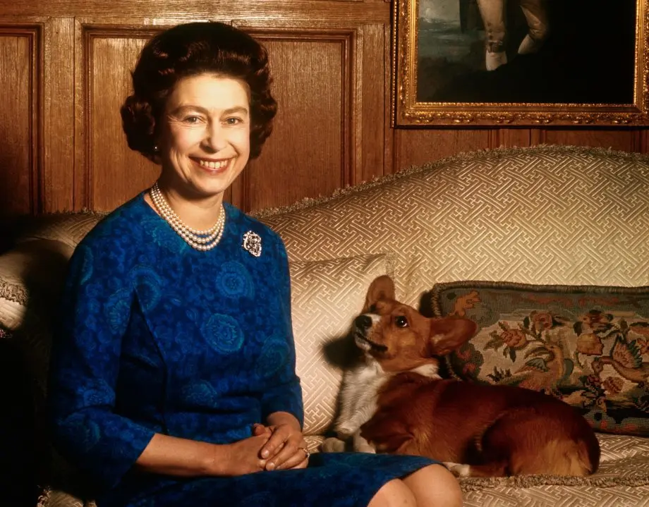 Her Majesty&#8217;s dogs: why Queen Elizabeth loves corgi