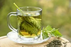 Herbal teas: what are their benefits?