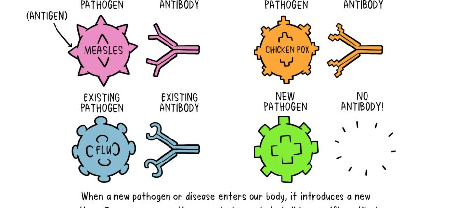 Herd immunity: how it is formed and how reliable