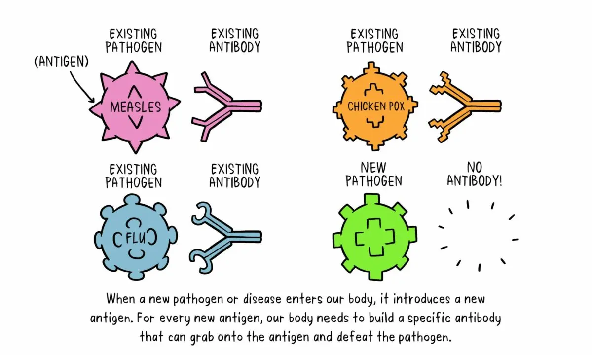 Herd immunity: how it is formed and how reliable