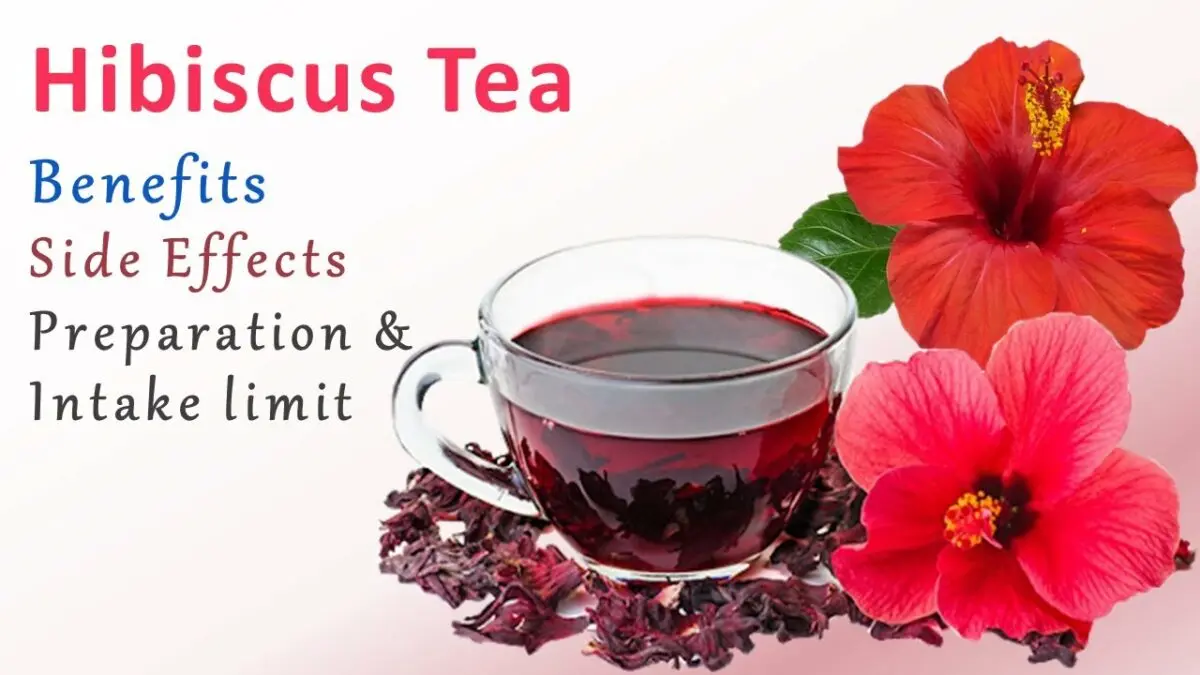 Hibiscus tea: benefits and harms. Video
