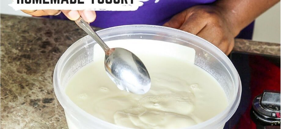 Homemade yogurt in a yogurt maker. Video