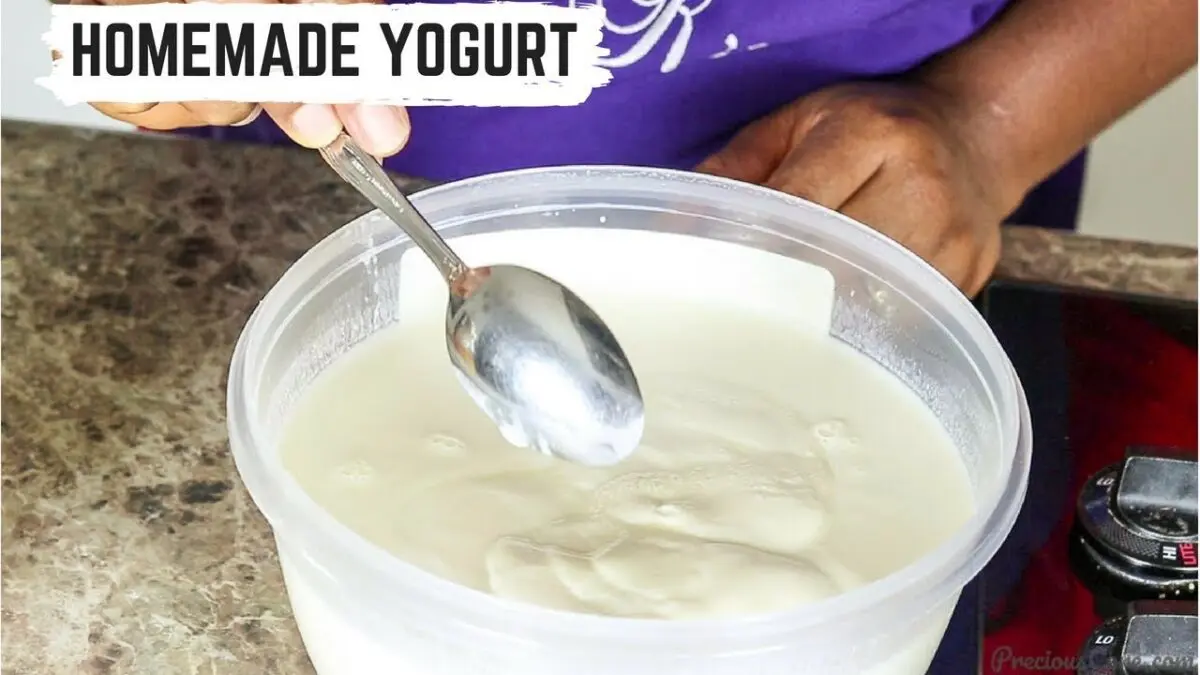 Homemade yogurt in a yogurt maker. Video