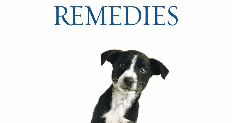 Homeopatía para cans