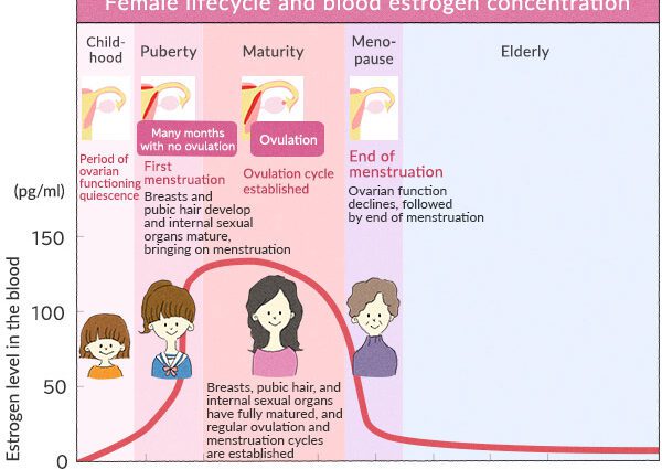 Hormonal changes in the body: symptoms, period of hormonal changes ...