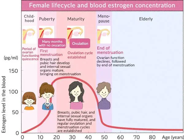 Hormonal changes in the body: symptoms, period of hormonal changes