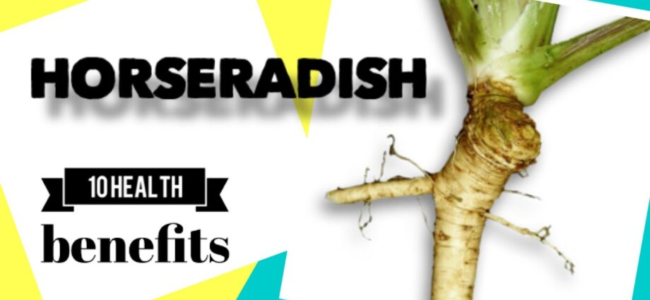 Horseradish root: medicinal and beneficial properties. Video