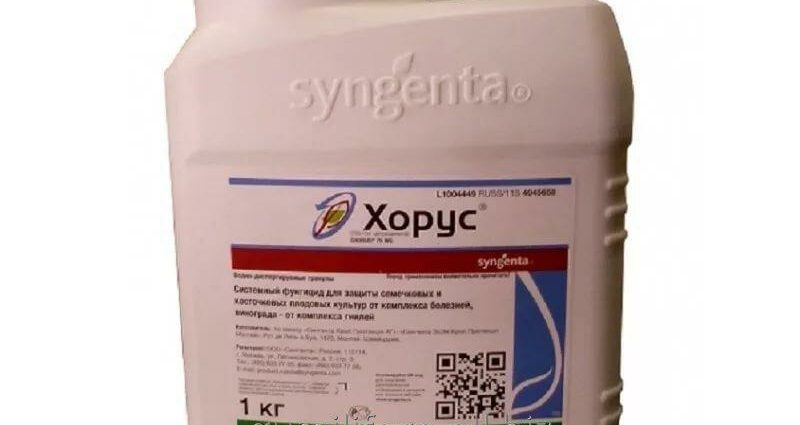 Horus fungicide: application