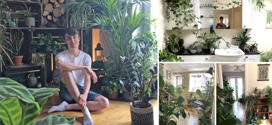 House of a man obsessed with houseplants: photo