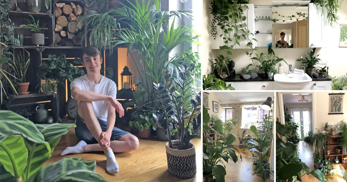 House of a man obsessed with houseplants: photo