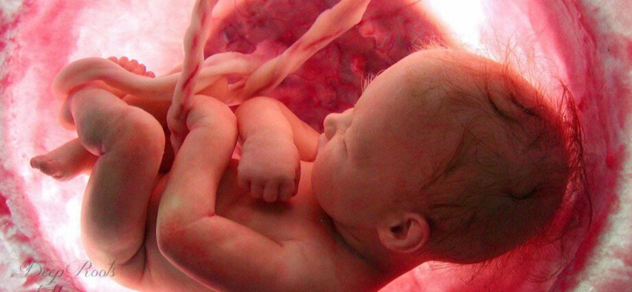 How a child behaves before birth in the womb: 13 facts