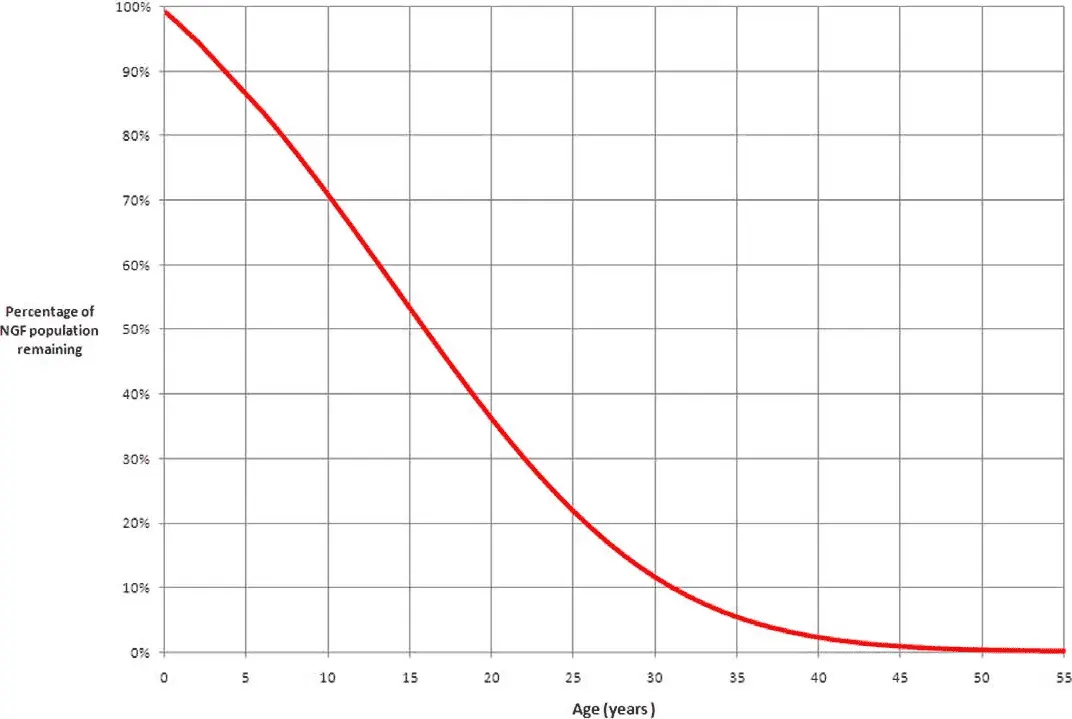 How age changes your chances of pregnancy
