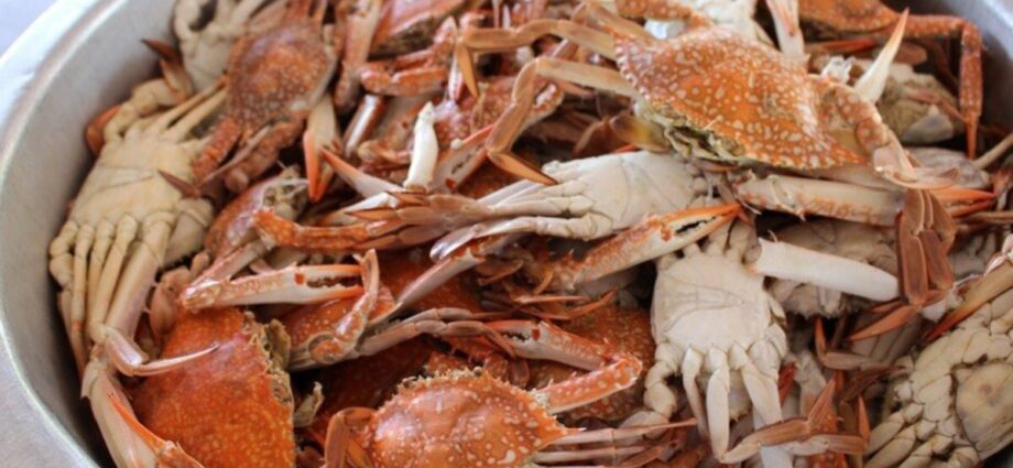 How and how much to cook crabs?