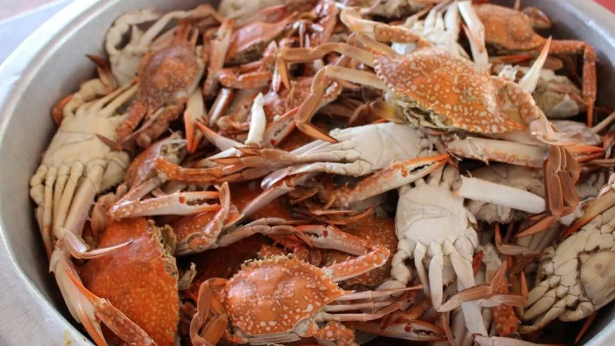 How and how much to cook crabs?