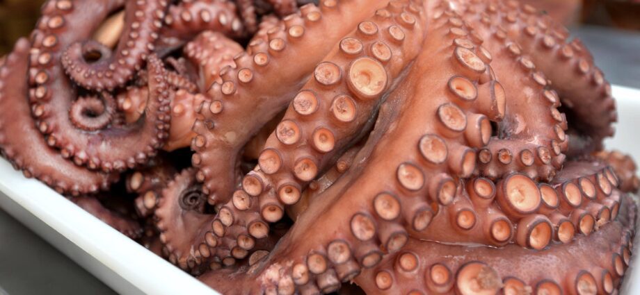 Как приготовить замороженных осьминогов. Замороженные Осьминоги молодые. Octopus. Осьминог целый очищенный. Сколько хранятся Осьминоги после их приготовления.