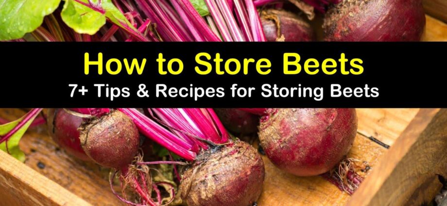 How and where to store beets correctly?