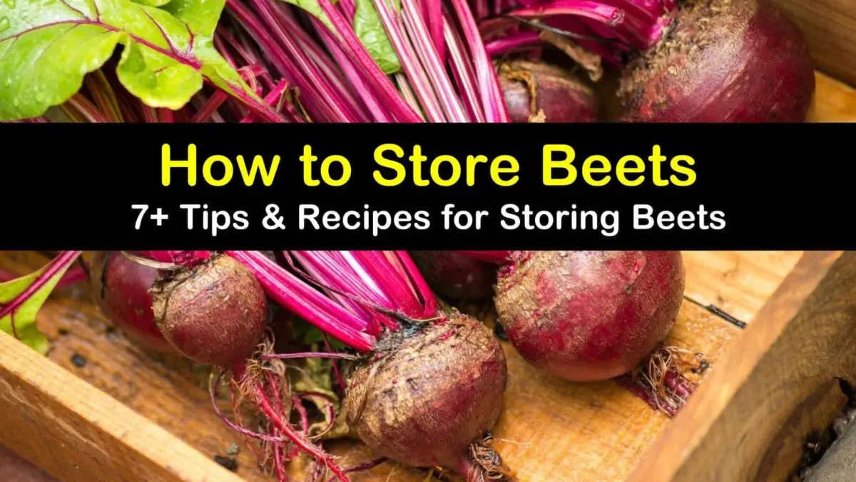 How and where to store beets correctly?