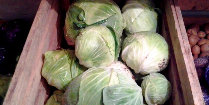 How and where to store cabbage correctly?