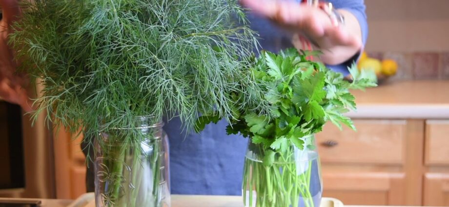 How and where to store dill at home?