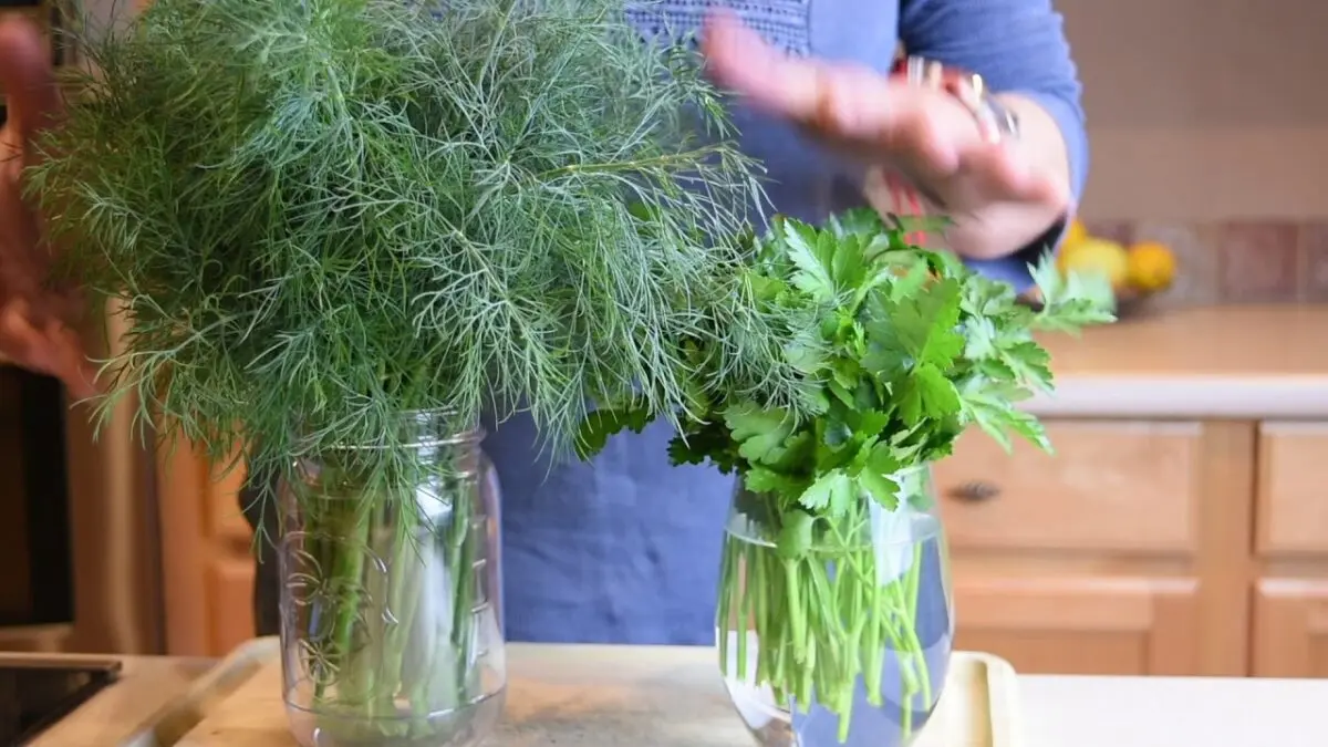 How and where to store dill at home?