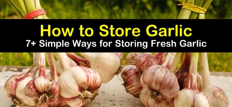 How and where to store garlic correctly?