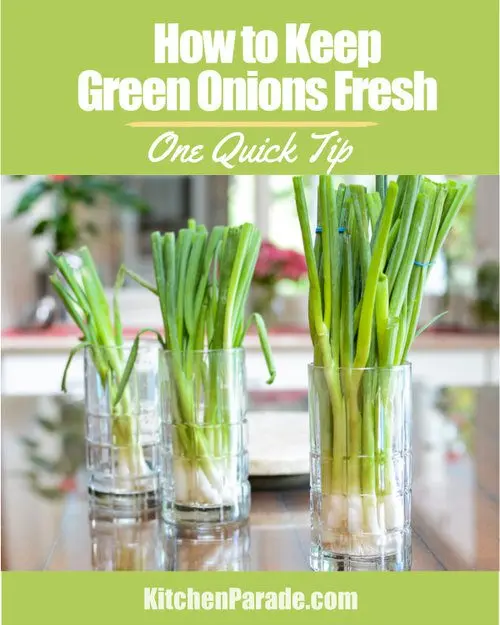 How and where to store green onions?