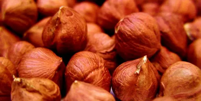 How and where to store hazelnuts correctly?