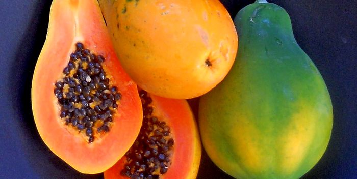 How and where to store papaya correctly?