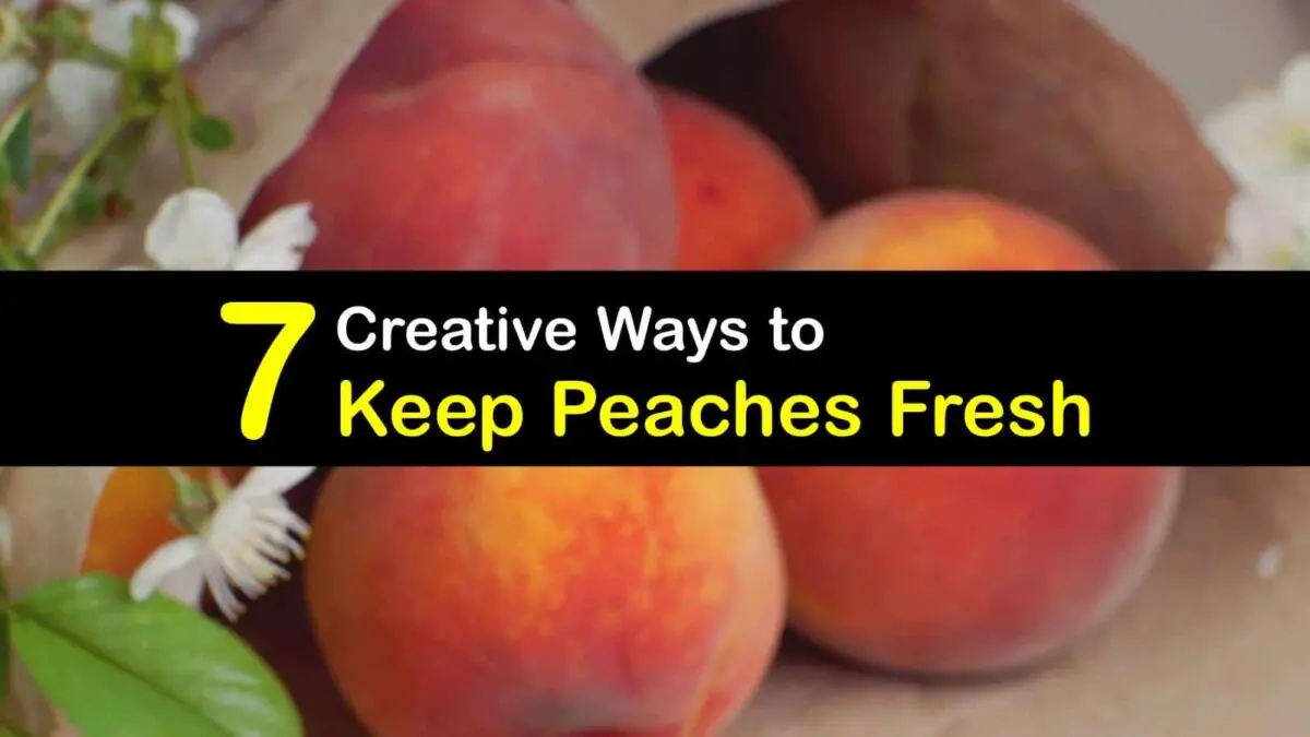 How and where to store peaches correctly?