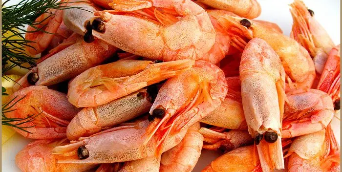 How and where to store shrimp correctly?